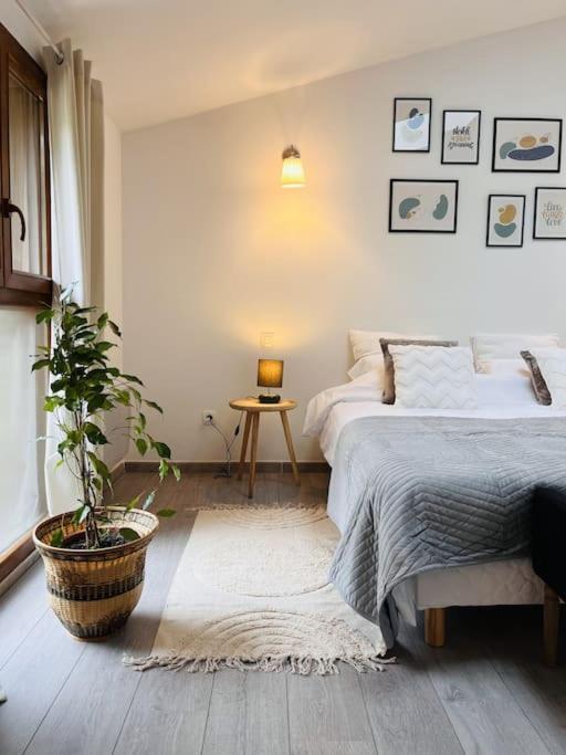 Superbe Maison Plein Centre Merville  Ngoại thất bức ảnh